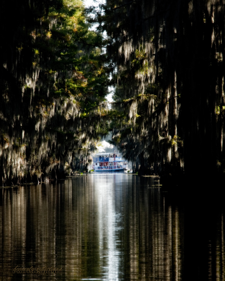 Caddo Lake