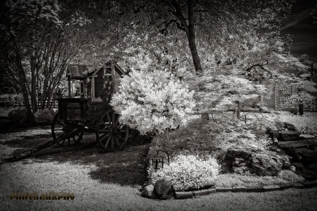 Azalea Inn Infrared