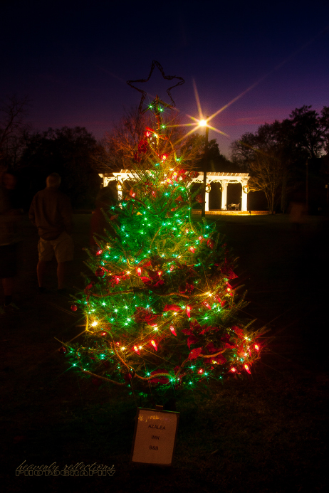 Christmas in the Park