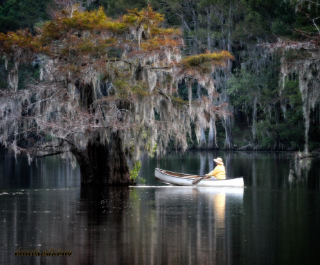 Caddo Lake